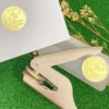 Common Seal-Pocket Seal E-40
